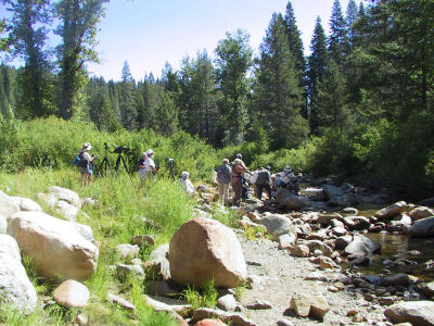 14-Jul-01: Yuba Pass