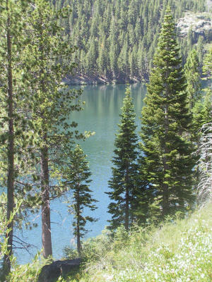 Sardine Lake