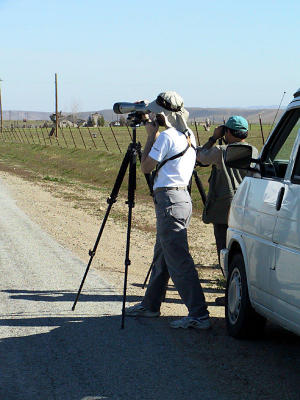 Ira (as seen in the Lodi Sentinel News)