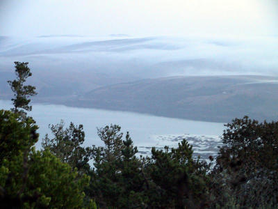 Tomales Bay, view from our guest room accomodation above Inverness Park.