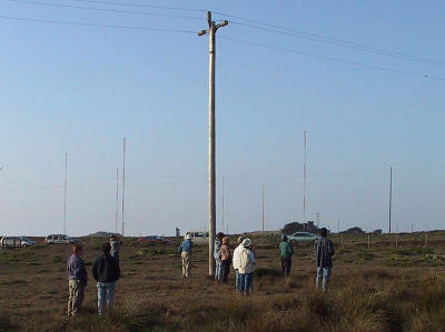 Not much going on by the RCA masts.