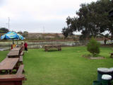 This is the back garden which had good birding views