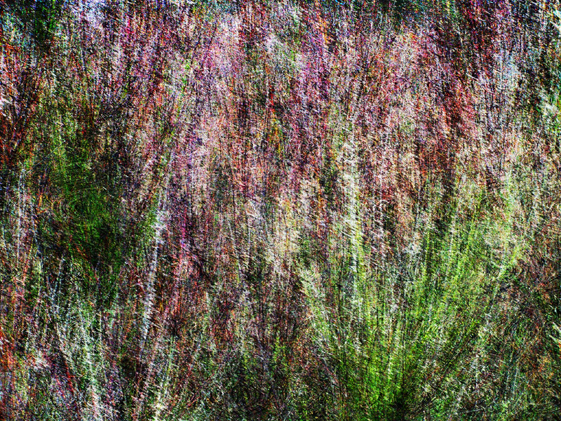 Abstract Bushes