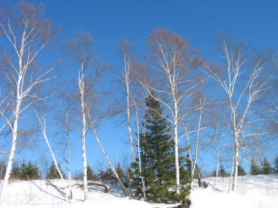 Ski Trip To Papineau-Labelle Park, Quebec, February 22-24, 2002