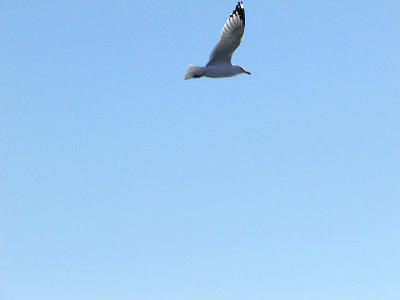 P2070883Web.jpg