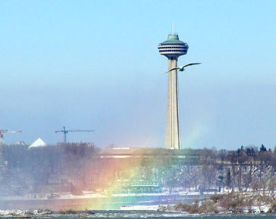 P2070926web.jpg