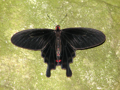 P2070955web.jpg