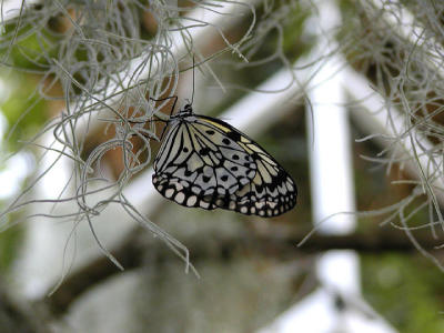 P2070959web.jpg