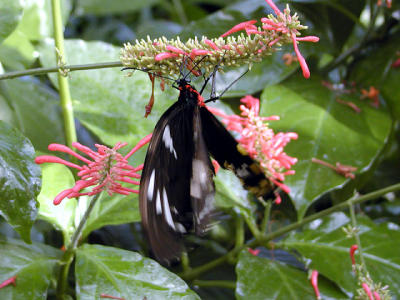 P2070967web.jpg