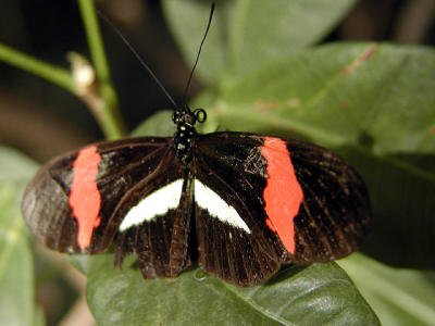 P2070972web.jpg