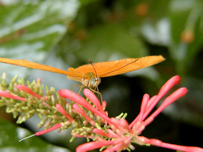 P2070979web.jpg