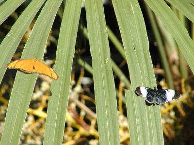 P2071021web.jpg