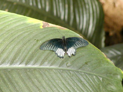 P2071022web.jpg