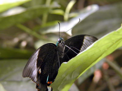 P2071030web.jpg