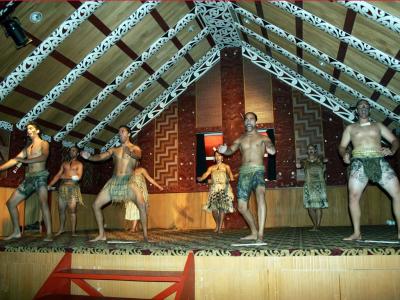 The Maori Performers