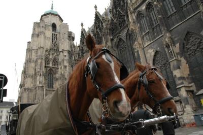 Wien 2005-03-09_0057.jpg