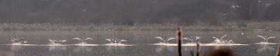 IMG_0067pb.jpg
