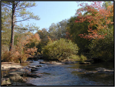 aPA222922.jpg