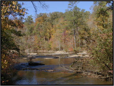 aPA222959.jpg