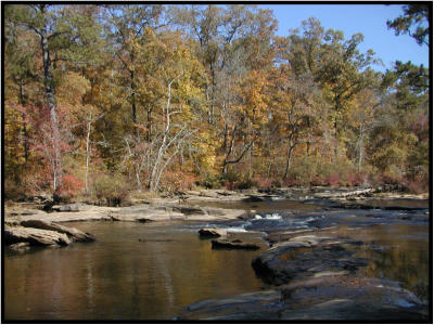 aPA222964.jpg