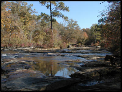 aPA222969.jpg