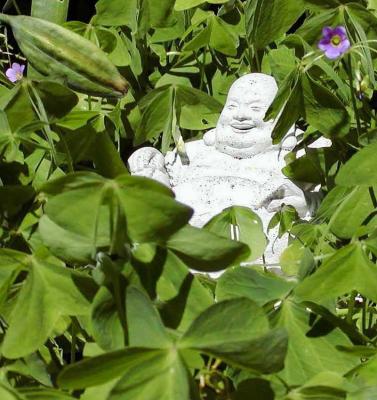 Buddha Smile