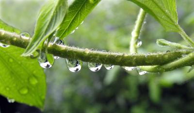 Droplets