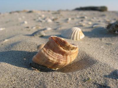 Galveston - East Beach