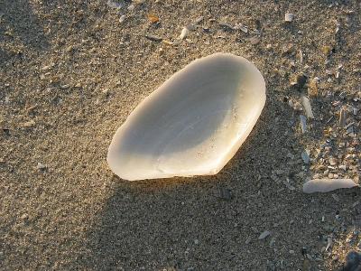 Galveston - East Beach