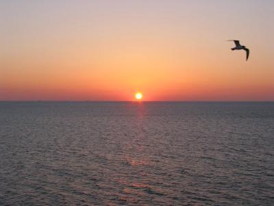 Galveston - Sunrise - Flagship Hotel Room Balcony