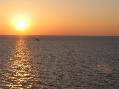 Galveston - Sunrise - Flagship Hotel Room Balcony