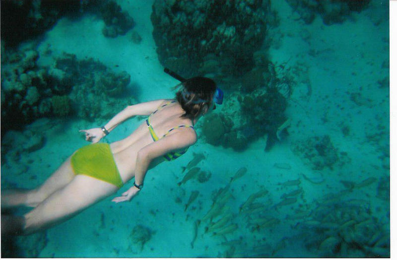 Lookie there! A Mermaid!