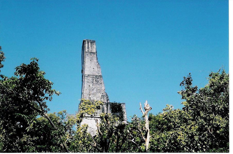 Tower