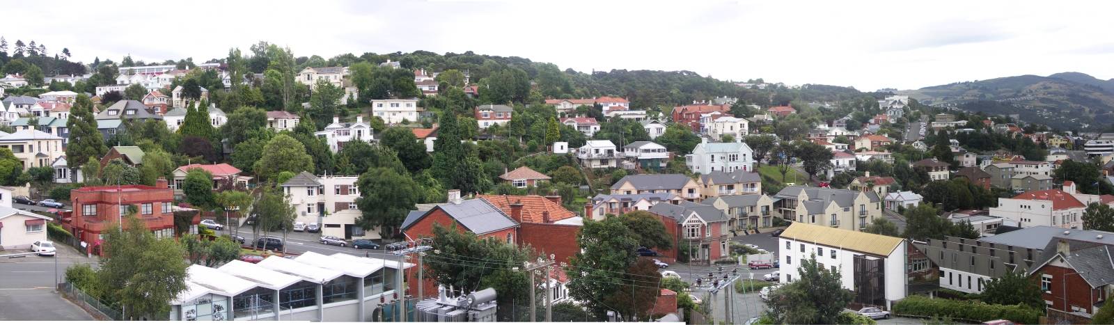 Panoramic view of Dunedin hillside