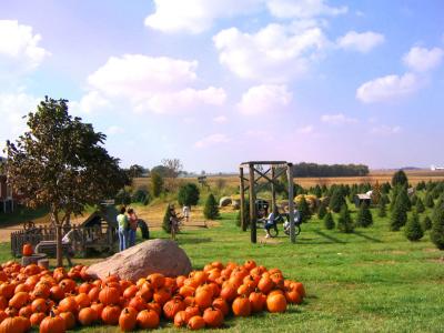 Pumkins