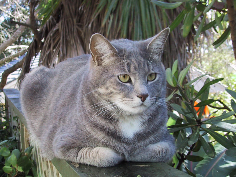 Ted on balustrade