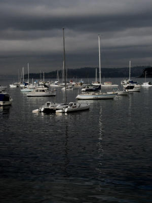 Manly Cove with little colour