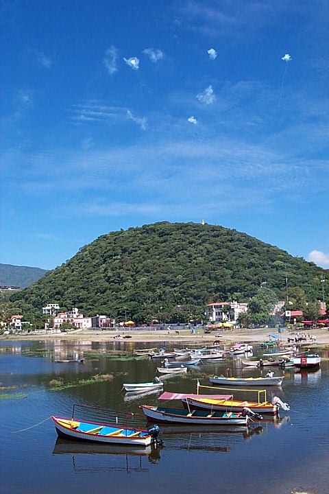 P0003556.JPG