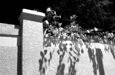 Al Denelsbeck