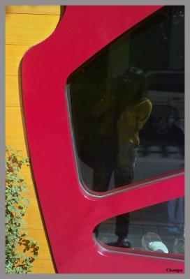 IMG03947_champa.jpg
