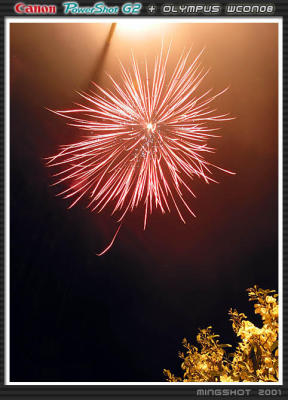 Wuyi Firework 01~ seems like HK Victoria's one...