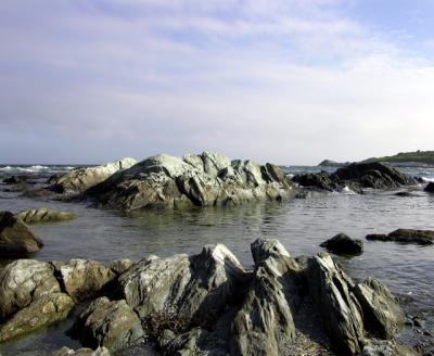 on the rocks