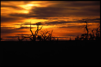 arizona sunrise