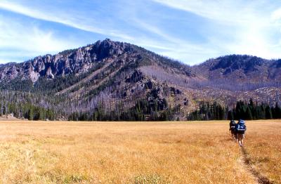 Hiking through a meadow