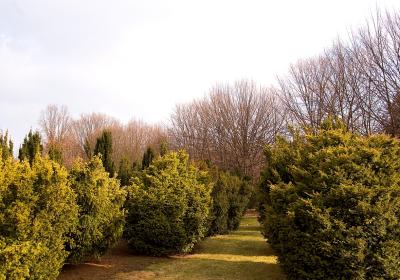 Botanical Garden