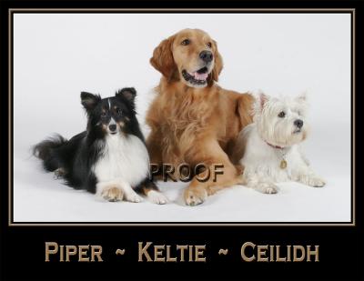 u7/snootydog/medium/22113772.mckay_framed.jpg