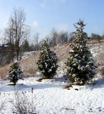 Winter 2005