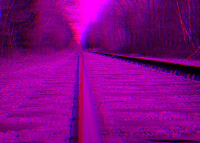 tracks