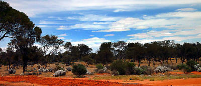06-outback-road to coober pedy.jpg