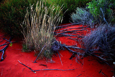 Ayers Rock - red sand.jpg